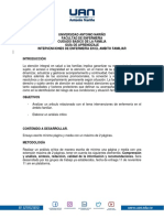 Guia Intervenciones de Enfermería en El Ambito Familiar