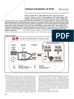 Phenotypic and Functional Translation of IL33 Genetics in Asthma Genetics in Asthma MV