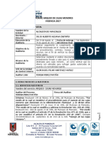 Informe Arqueo de Cajas Menores Vigencia 2017