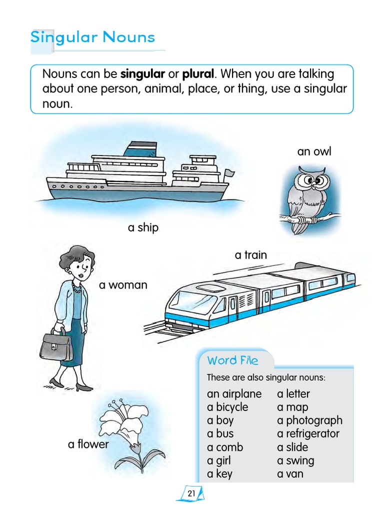 Singular and Plural Nouns Guide | PDF | Grammatical Number | Plural