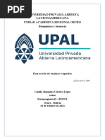 Enzimas y Vitamina C