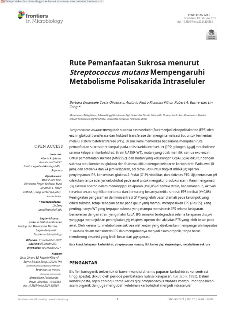 Fmicb 12 636684 En Id Pdf