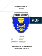 Laporan Praktikum Kimia Manda Aprilia