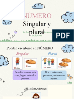 Cierre Numero Singular y Plural