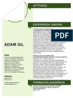 Curriculum Adam Gil