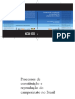 Processos de Constituicao e Reproducao Do Campesinato No Brasil - Formas Dirigidas de Constituicao Do Campesinato - Vol 2