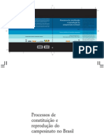 Processos de Constituicao e Reproducao Do Campesinato No Brasil - Formas Tuteladas de Condicao Camponesa - Vol 1