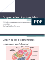 Origen de Los Biopotenciales: 86.62 Equipamiento para Diagnostico y Tratamiento Biomédico Dr. Ing. Esteban Valverde