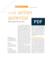 The Action Potential: Mark W Barnett, Philip M Larkman
