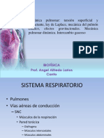 Sistema_Respiratorio_Biofisica_18-07-2017[1] (1)-convertido