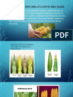 Fertilización del cultivo del maíz 