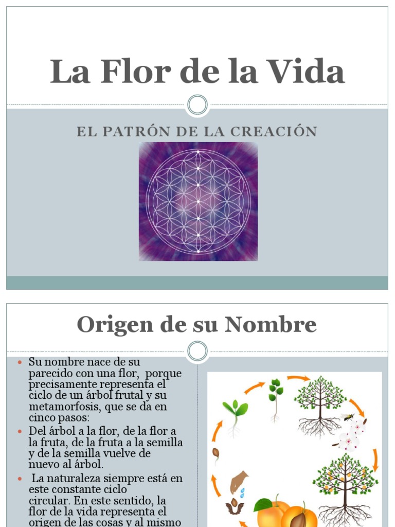 La Flor De La Vida Pdf