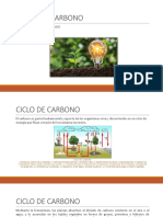 Ciclo Del Carbono - CC