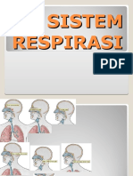 Sistem Respirasi Bms 3