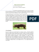 Razas Porcinas en Argentina