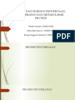 Enzim Dan Hormon Pencernaan, Penyerapan Dan Metabolisme