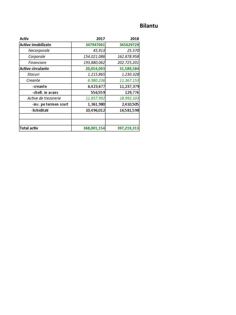 Sablon Bilant Financiar | PDF