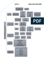 Organizador Grafico Practica 1