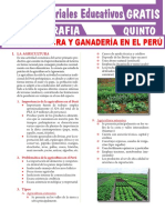 La Agricultura y Ganadería en El Perú para Quinto Grado de Secundaria