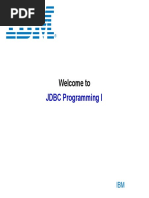 Welcome To: JDBC Programming I