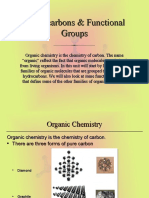 Hydrocarbons & Functional Groups