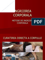 Ingrijirea Corporala La Animale