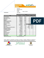 EC Aguacate Comun-Grande Antioquia