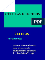 Células e tecidos: estrutura e função das organelas celulares