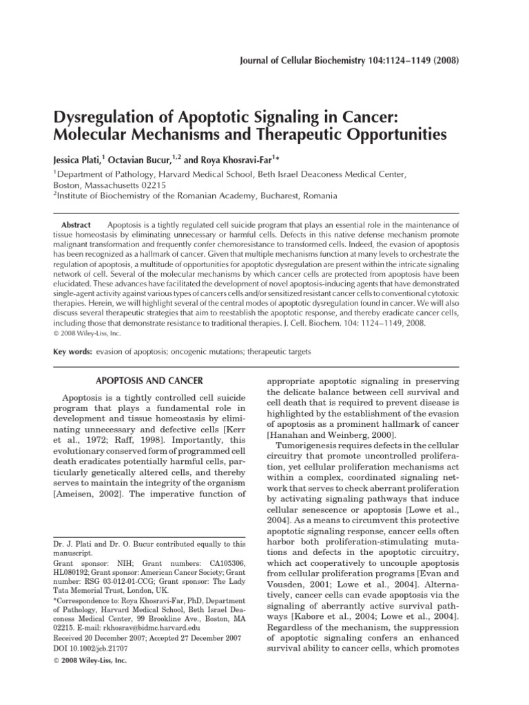 Apoptotic Dysregulation in Cancer | PDF | Bcl 2 | Apoptosis