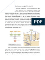 Pembentukkan Energi ATP Di Dalam Sel