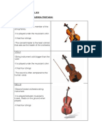 Orchestral Families Rubbed String (Cuerda Frotada)