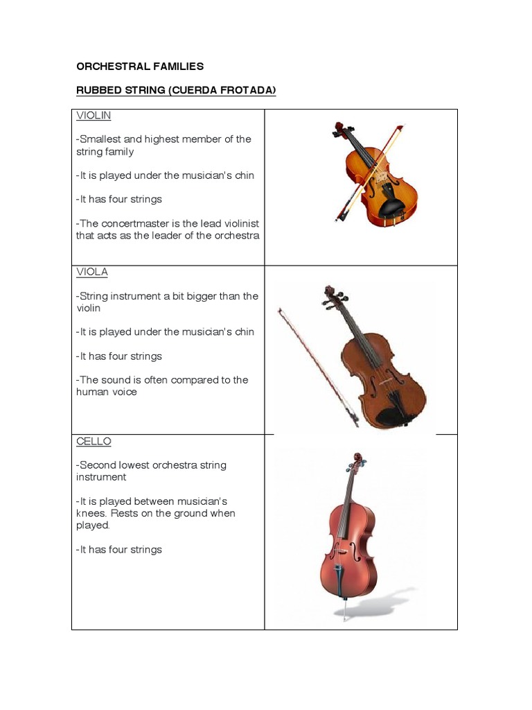 An Orchestral Guide Exploring the Diverse Instrument Families and