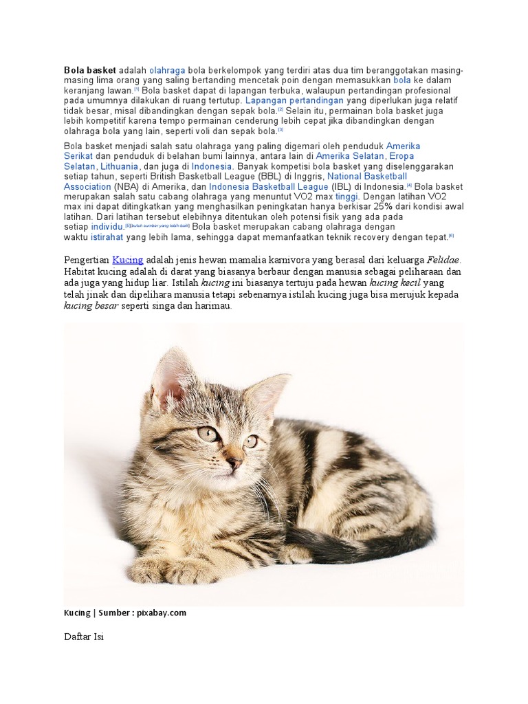 Kucing Pdf