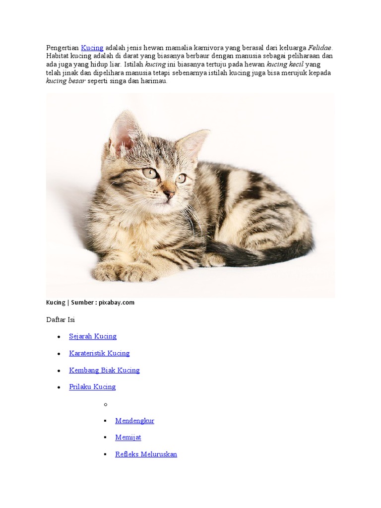 Kucing pdf