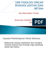 TM2 - Anatomi Fisiologi Genetalia Jantan Dan Betina