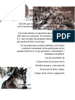 Lobo Mexicano Infografia