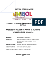 Proyectos Pep.pdf