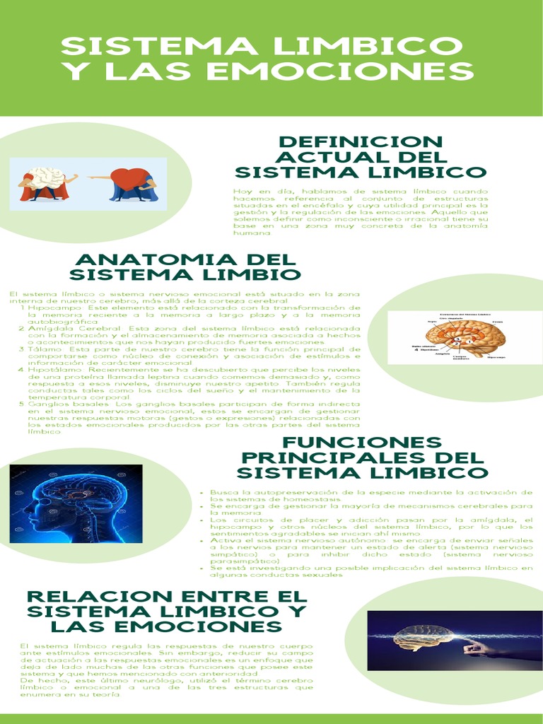 Infografía: Sistema Límbico y Emociones | PDF | Sistema límbico | Las ...