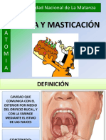 46 - Boca y Masticacion - Presentacion de Clase