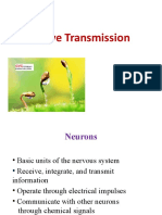 Nerve Transmission - Science