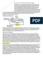 radiologia strumenti