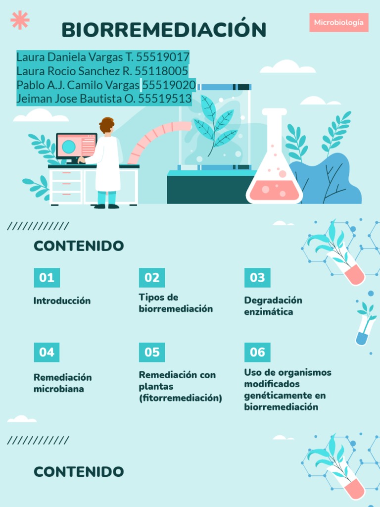 Tipos y Estrategias de Biorremediación | PDF | Biología | Ciencia
