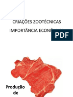 02_Criaes_-_Importancia_economica_