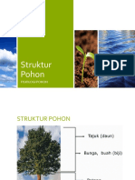 Struktur Pohon - Fisiologi Pohon