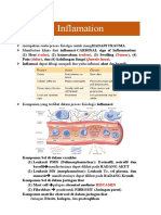 BMS5-2 Inflammation