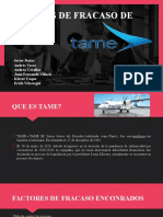 Factores de Fracaso de Tame