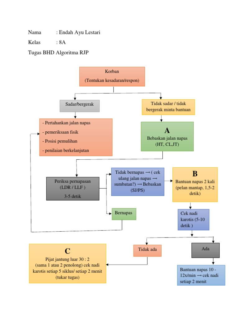 Algoritma RJP dan Cek Nadi Karotis | PDF