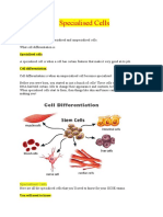 Specialised Cells: Cell Differentiation