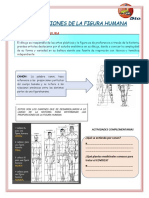 Proporciones de La Figura Humana