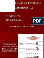 Biofísica Muscular y Elasticidad 2019